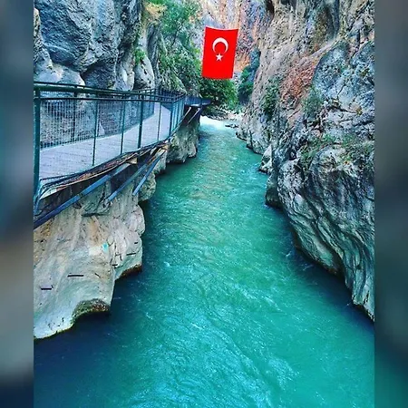 Cicek Evi *